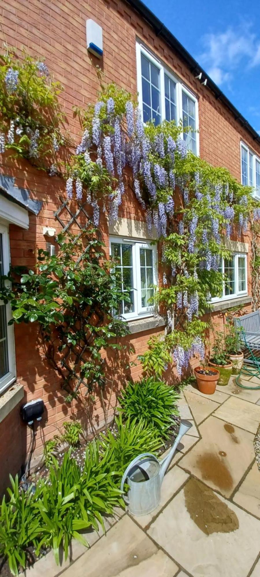 Harlequin B&B 레드베리 외부 사진